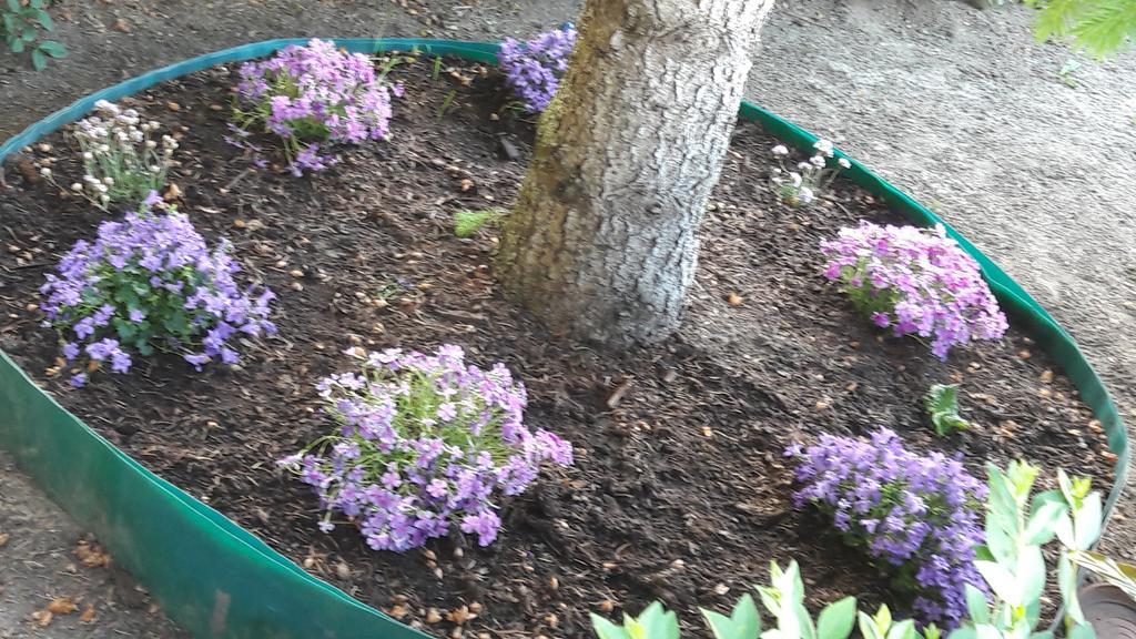 Szaloky Apartmanhaz Gyenesdiás Dış mekan fotoğraf